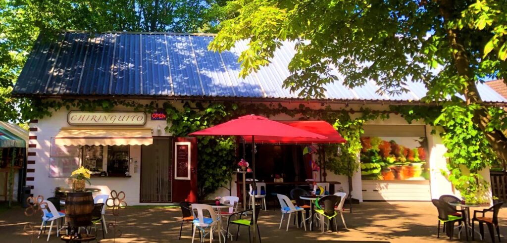 snack-bar-chiringuito